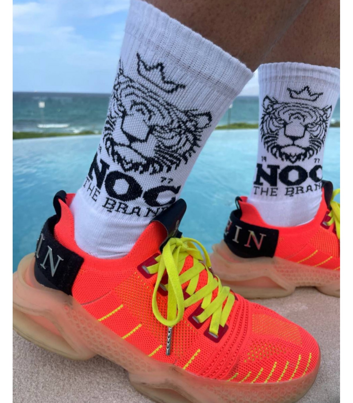 Noc the Brand- Calcetines para mujer