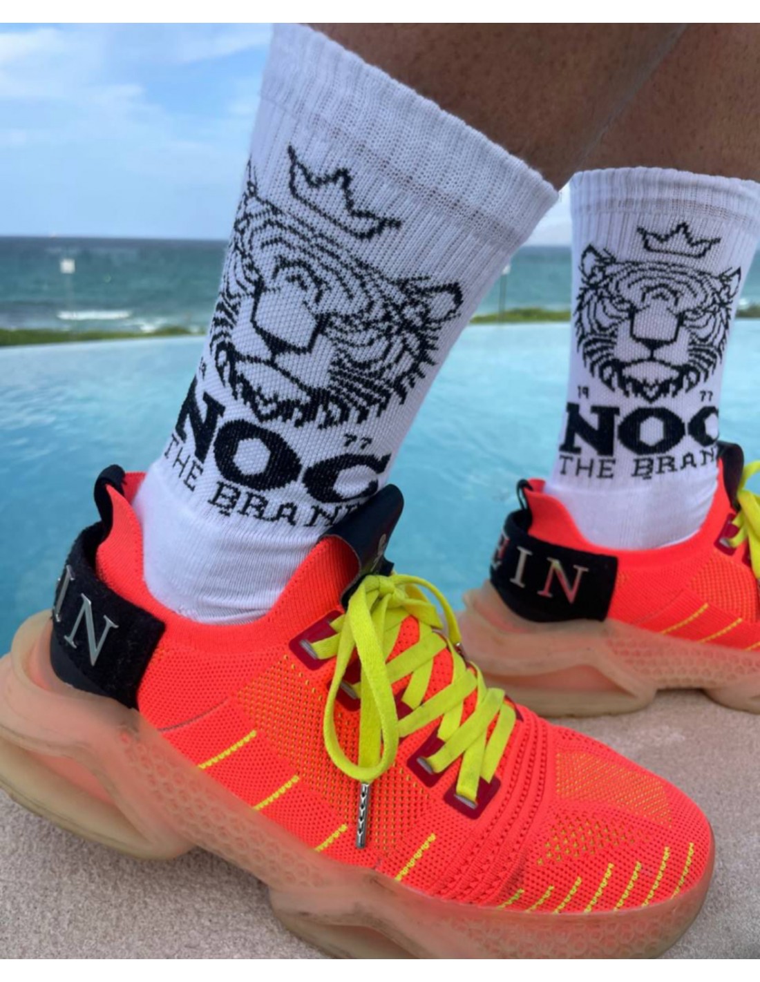 Noc the Brand- Calcetines para mujer